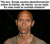 Tu compa el vegano defendiendo el pasto mientras c fuma uno....jpg