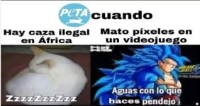 aguas...aguas.....jpg