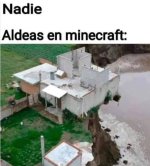 Nadie equal Aldeas en Minecraft cada 3 pasos....jpg