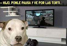 hijo,ponle pausa y ve por las torti....jpg