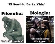 El sentido de la vida según cada ciencia y Hallelujah de fondo.jpg