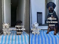 sueldo x precio...x v 1.1.3.jpg