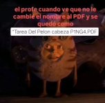 El profe viendo que mandé la tarea como TareaDelPelonCabezaPing4. Pd.jpg