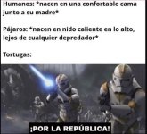La verdadera lucha de las tortugas recien nacidas....jpg