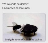 En mi caso ,son los vecinos no las moscas x es equal prros.jpg