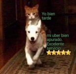 acelerele don ,tengo prisa plz prros.jpg
