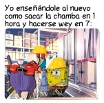 bob presta atencion ,ser como prros.jpg