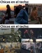 Las mejores pelas ocurren en los tejados....jpg