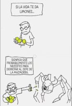 Vengo curtido de Zelda....jpg