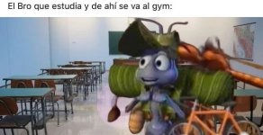 El bro que va de la uni al gym y parece meme viviente....jpg
