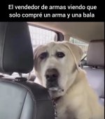 El vendedor de armas viendo que solo quiero una bala... sospechoso mu sospechoso....jpg