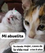 Yo viendo Mujer, casos de la vida real a los 8 como si fuera comedia.....jpg