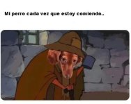 Mi perro activando el modo hambriento cada vez que abro una bolsa.....jpg