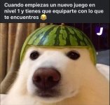 y al final n me lo quiero quitar.....jpg