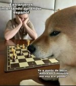 mode master en idiomas On.....jpg