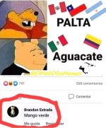 palta vs aguacate...x v 1.1.6.jpg