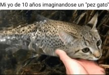 Yo a los 10 imaginando cómo sería un pez gato... y el resultado me asustó, efectivament..jpg