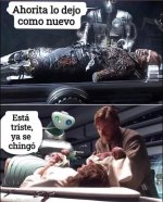 L mortalidad d la tristeza.....jpg