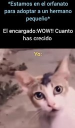 Yo equal...x v 1.1.8.jpg