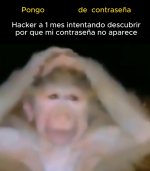 el hacker equal carita zad.jpg