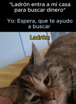 el ladron equal....jpg
