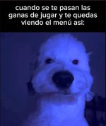 ahora q hago c m vida...x v 1.1.6.jpg