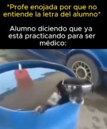 El alumno equal 👑.jpg