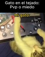 M gato equal...x v 1.1.7.jpg