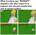 Bugisoft opinion publica .jpg