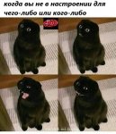 momo tu Russ v10.jpg