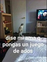 1n game d ados....x v 2.1.7.jpg