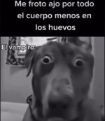 Er vampiro equal....jpg