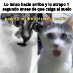 Ellos equal.....jpg