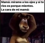 N pt@ idea ci lo hará a proposito.....jpg N pt@ idea ci lo hará a proposito.....jpg