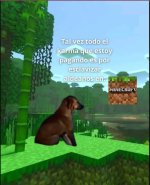 Quizás....m en el fondo soy 1na mala persona.....jpg Quizás....m en el fondo soy 1na mala persona.....jpg