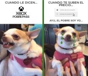 m cartera equal....jpg m cartera equal....jpg