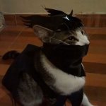 Er Gatito.....ya esta +q preparado x Halloween....o uds q creen...Xddddd.jpg Er Gatito.....ya esta +q preparado x Halloween....o uds q creen...Xddddd.jpg
