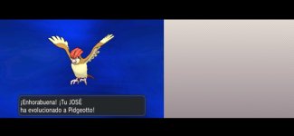 pidgeotto.jpg pidgeotto.jpg