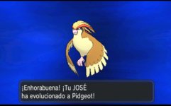 pidgeot.jpg