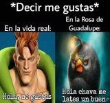 Decir m gustas ,ser como prros.jpg