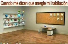 Hola prros x neuronas x arreglar mi habitacion ,ser como prros.jpg