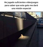 1 mision especial ,ser como v 2.1.1.png