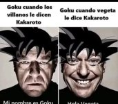 C llama Goku,bro.....jpg