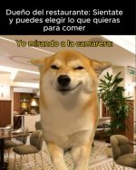 Yo mirando a la camara equal....jpg