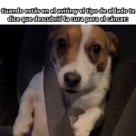 papú no....x v 1.5.8.jpg