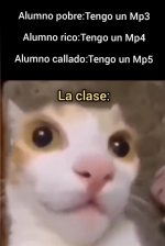 L clase equal....jpg