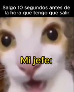 M jefe equal.....jpg