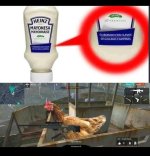 Son las peores gallinas q hay.....jpg