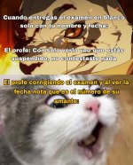 er profe viendo equal.....jpg