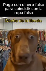 Calavirta....x Dueño d la tienda equal.....jpg